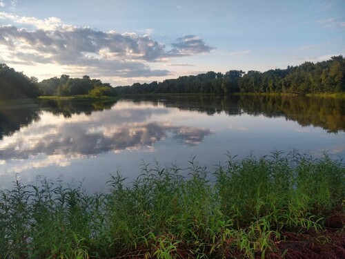 Dresser Island, Upper Mississippi Conservation Area. Photo by Eric Pinto.
