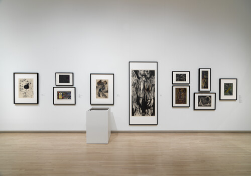 Installation view, Postwar Prints and Multiples: Investigating the Collection