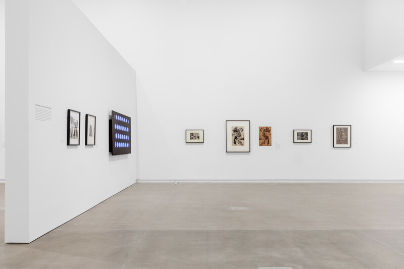 Installation view of the exhibition The Body in Pieces in the galleries at the Mildred Lane Kemper Art Museum